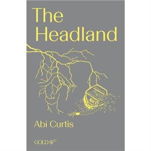 The Headland by Abi Curtis