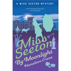 Miss Seeton by Moonlight by Hamilton Crane