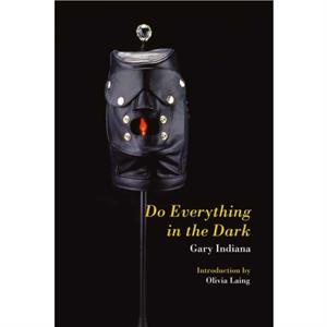 Do Everything in the Dark by Gary Indiana