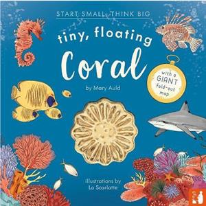 Tiny Floating Coral by Mary Auld