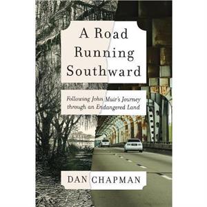 A Road Running Southward by Dan Chapman