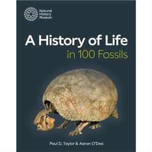 A History of Life in 100 Fossils by Aaron ODea