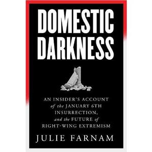 Domestic Darkness by Julie Farnam