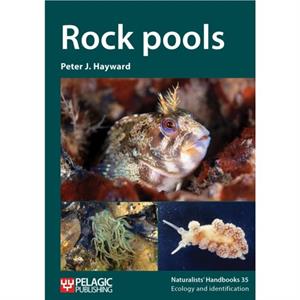 Rock pools by Peter J. Hayward