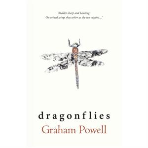 Dragonflies by Graham Powell