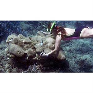 The Minoan Shipwreck at Pseira Crete by Elpida HadjidakiMarder