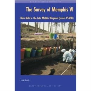 The Survey of Memphis VI by Lisa Giddy