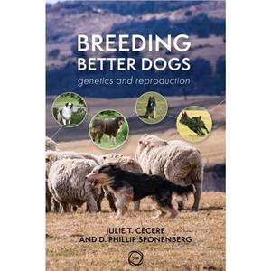 Breeding Better Dogs by D. Phillip Sponenberg