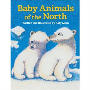 Baby Animals of the North by Katy Main