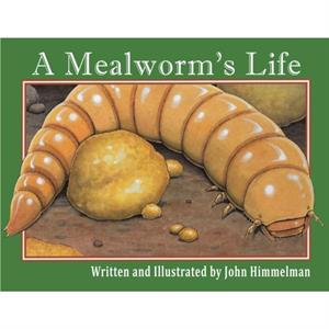 A Mealworms Life by John Himmelman