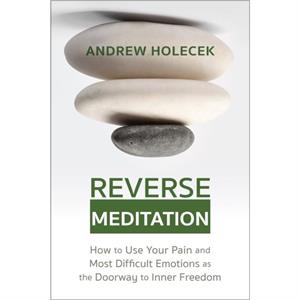 Reverse Meditation by Andrew Holecek