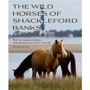 Wild Horses of Shackleford Banks by Scott Taylor