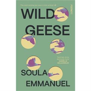 Wild Geese by Soula Emmanuel