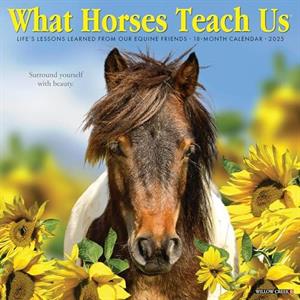 What Horses Teach Us 2025 12 X 12 Wall Calendar by Willow Creek Press