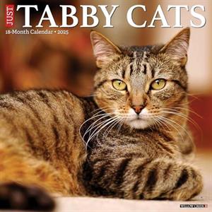 Just Tabby Cats 2025 12 X 12 Wall Calendar by Willow Creek Press