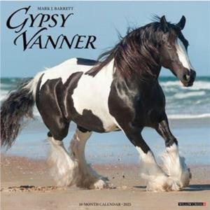 Gypsy Vanner Horse 2025 12 X 12 Wall Calendar by Willow Creek Press