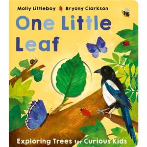 One Little Leaf by Molly Littleboy