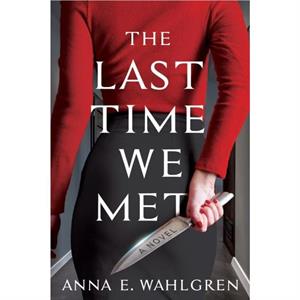 The Last Time We Met by Anna E. Wahlgren