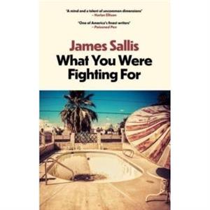 What You Were Fighting For by James Sallis