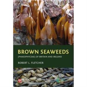 Brown Seaweeds Phaeophyceae of Britain and Ireland by Robert L. Fletcher