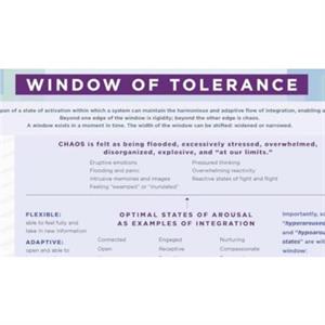 Window of Tolerance Laminated Card by Siegel & Daniel J. & M.D. Mindsight Institute