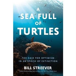 A Sea Full of Turtles by Bill Streever