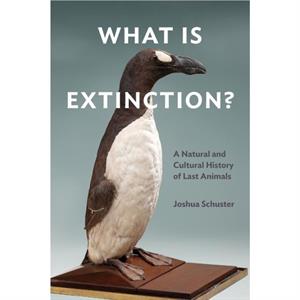 What Is Extinction by Joshua Schuster