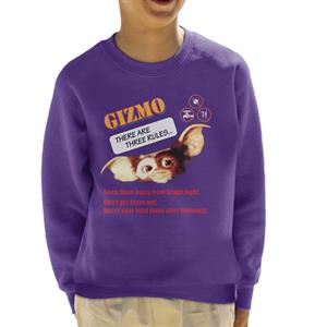 Gremlins Gizmo There Are Three Rules Kid's Sweatshirt