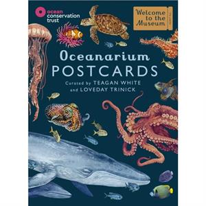 Oceanarium Postcards by Loveday Trinick