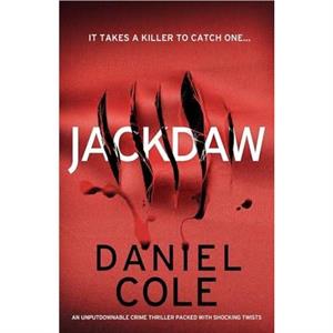 Jackdaw by Daniel Cole