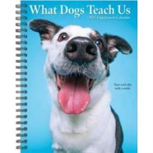 What Dogs Teach Us 2025 6.5 X 8.5 Engagement Calendar by Willow Creek Press