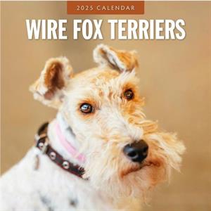 Wire Fox Terriers 2025 Square Wall Calendar by Red Robin