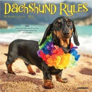 Dachshund Rules 2025 7 X 7 Mini Wall Calendar by Willow Creek Press