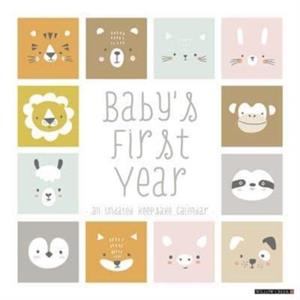 Babys First Year Undated 12 X 12 Wall Calendar by Willow Creek Press