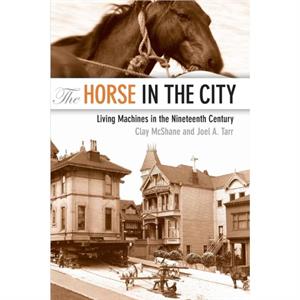 The Horse in the City by Joel Carnegie Mellon University Tarr