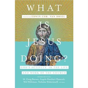 What Is Jesus Doing  Gods Activity in the Life and Work of the Church by Edwin Chr. Van Driel