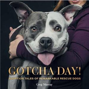 Gotcha Day by Greg Murray