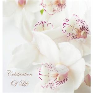 Celebration of Life In Loving Memory Funeral Guest Book Wake Loss Memorial Service Love Condolence Book Funeral Home Missing You Church Thoughts and In Memory Guest Book Hardback by Lollys Publishing