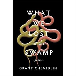 What We Lost in the Swamp by Grant Chemidlin