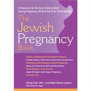 The Jewish Pregnancy Book by Rabbi Daniel Judson