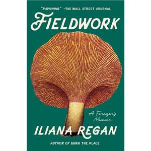 Fieldwork by Iliana Regan