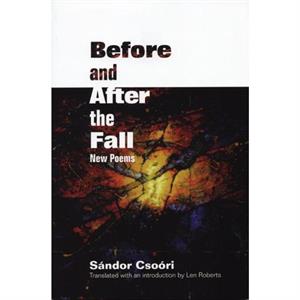 Before and After the Fall by Sndor Csori