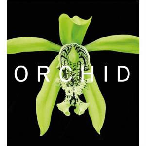 ORCHID by David A. Berry