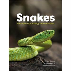 Snakes by Simon Maddock