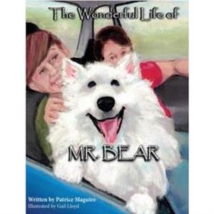 The Wonderful Life of Mr. Bear by Patrice Maguire