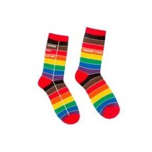 Library Card Pride Socks  Small by Out of Print