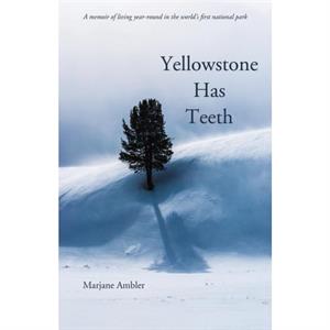 Yellowstone Has Teeth by Marjane Ambler