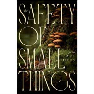 The Safety of Small Things by Jane Hicks