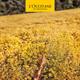 LOccitane Eau De LOccitan Pour Homme Eau de Toilette 75ml Spray-3