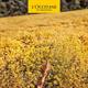 LOccitane Eau De LOccitan Pour Homme Eau de Toilette 75ml Spray-4